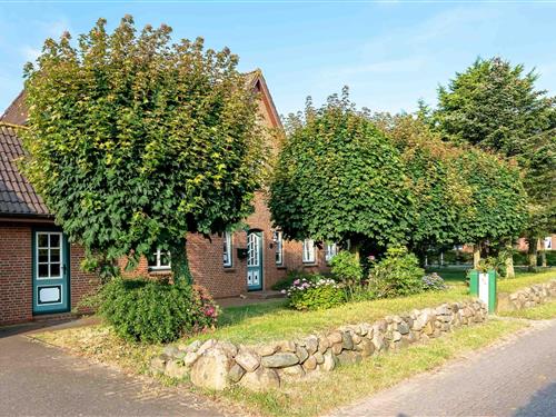 Ferieleilighet - 4 personer -  - Triibergem - 25938 - Utersum