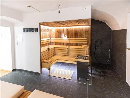  - 1 person -  - Saalfeldnerstraße - 5700 - Zell Am See