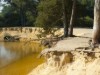 Bilde 35