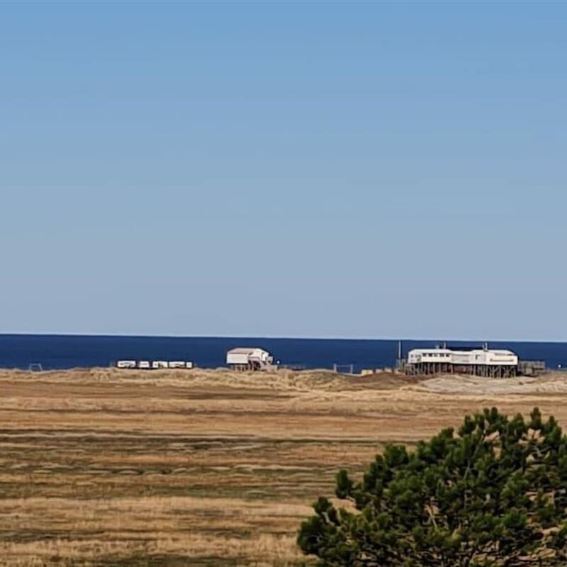Sommerhus - 4 personer -  - 25826 - St.Peter Ording
