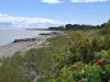 Billede 8 - Udsigt over vand