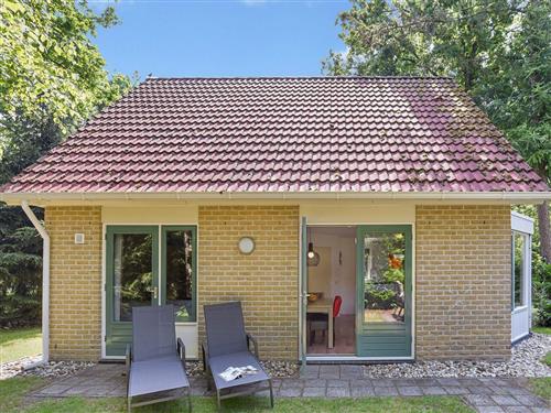 Holiday Home/Apartment - 4 persons -  - Valkenlaan - 7693 VG - Sibculo