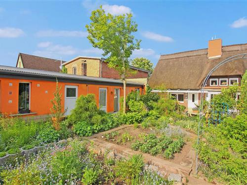 Ferieleilighet - 2 personer -  - Alte Dorfstraße - 17509 - Wusterhusen