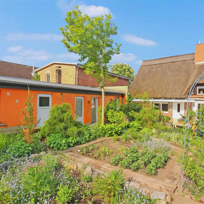 Ferielejlighed - 2 personer -  - Alte Dorfstraße - 17509 - Wusterhusen