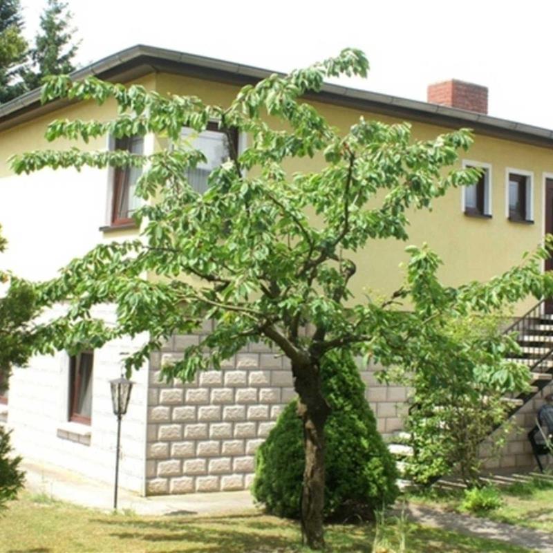 Ferielejlighed - 4 personer -  - Feldstraße - 18586 - Göhren (Ostseebad)