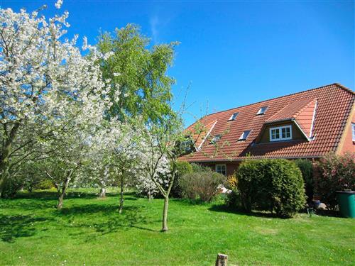 Holiday Home/Apartment - 4 persons -  - Strandweg - 23769 - Fehmarn Ot Puttgarden