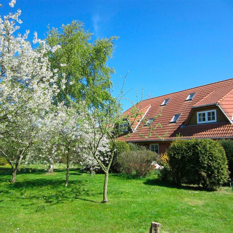 Ferielejlighed - 4 personer -  - Strandweg - 23769 - Fehmarn Ot Puttgarden