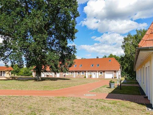 Ferieleilighet - 5 personer -  - Reiterhof - Passow Ot Charlottenhof - 19386 - Passow Ot Charlottenho