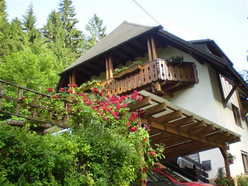 Ferieleilighet - 3 personer -  - Großtalstraße - 79117 - Freiburg