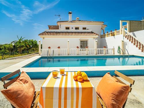 Ferienhaus - 8 Personen -  - Camino Alberdina - 29689 - Estepona