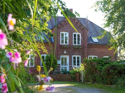 Holiday Home/Apartment - 3 persons -  - Seestrasse - 23747 - Dahme