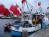 Bilde 17