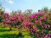 Bild 31 - Aussen