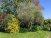 Bilde 30