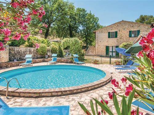 Sommerhus - 15 personer -  - Via Pomontina - Perugia - 06031 - Bevagna  (Pg)