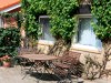 Bild 17