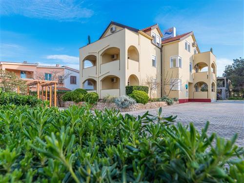 Ferielejlighed - 2 personer -  - Bobovik XIX - 23234 - Vir