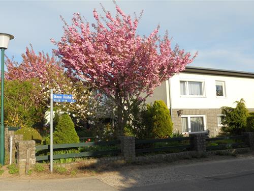 Ferieleilighet - 4 personer -  - 18236 - Kröpelin