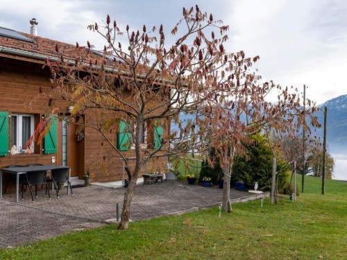 Feriehus - 5 personer -  - 6074 - Giswil