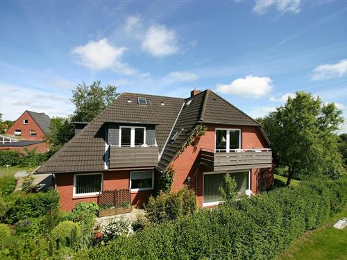 Ferienhaus - 4 Personen -  - Böhler Lnadstrasse - 25826 - St. Peter-Ording