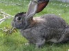 Bild 21