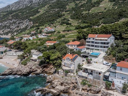 Ferieleilighet - 6 personer -  - Borak - Peljesac-Dingac - 20244 - Dingac