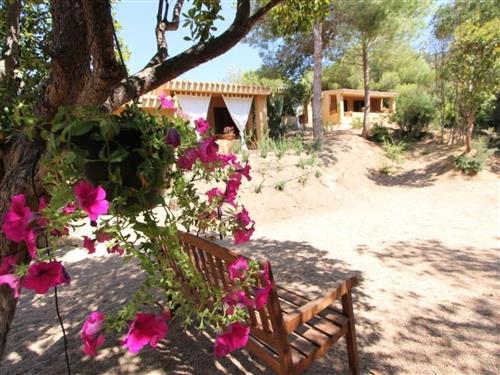 Ferienwohnung - 1 Person -  - Costa Paradiso - 07038