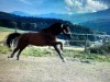 Billede 2