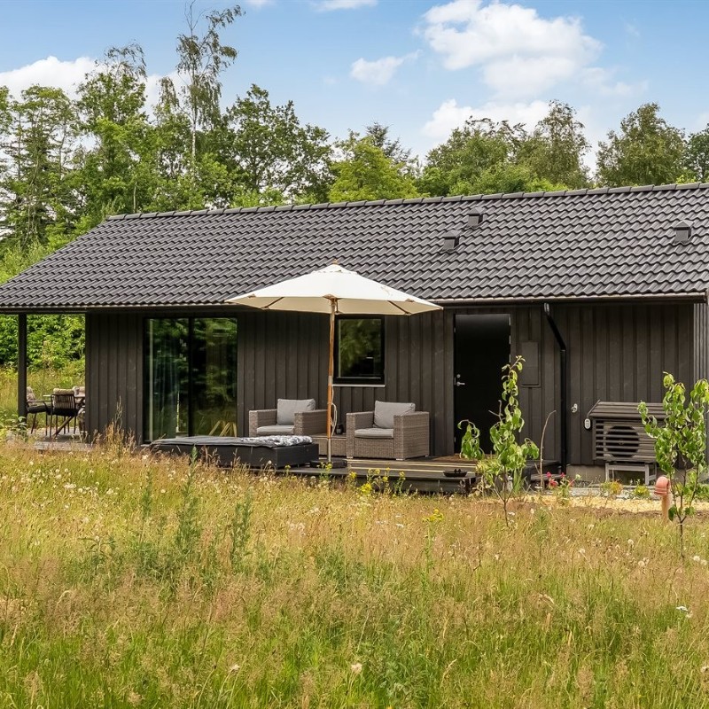 Ferienhaus - 5 Personen -  - Lillesøvej - Rörbäk See - 7361 - Ejstrupholm