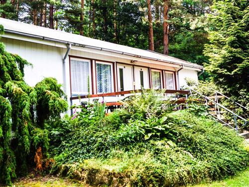 Ferieleilighet - 3 personer -  - Ahornallee - 15848 - Friedland