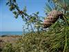 Bild 26 - Aussen