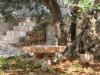 Image 13