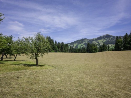 Bondgård - 6 personer -  - Glantersberg - 6361 - Hopfgarten