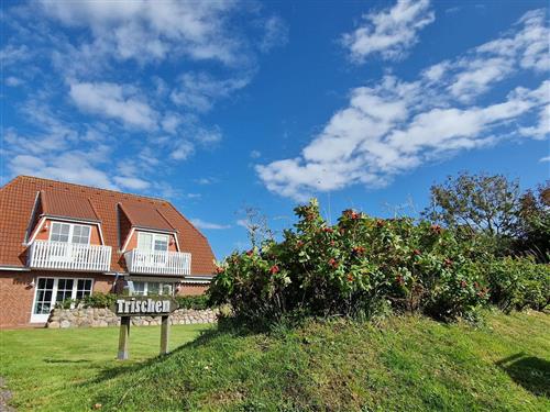 Ferienhaus - 4 Personen -  - Kirchenstraße - 25826 - St. Peter-Ording