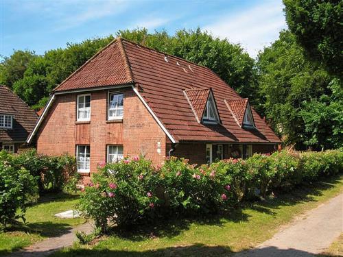 Ferieleilighet - 2 personer -  - Eulenkamp - 25938 - Wyk Auf Föhr