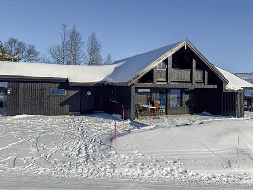 Feriehus - 10 personer -  - Fjellparken - 4755 - Hovden