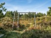 Billede 11 - Udendørs aktiviteter