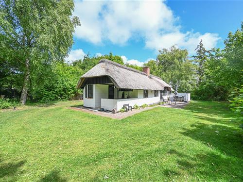 Holiday home - 4 persons -  - Gråstensborgvej - Nr. Hede Øst - 6990 - Ulfborg