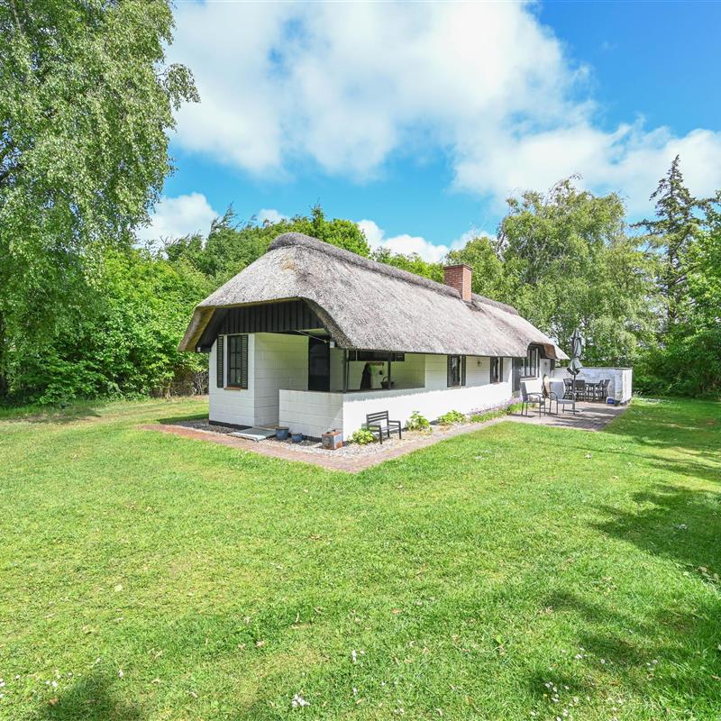 Ferienhaus - 4 Personen -  - Gråstensborgvej - Nr. Hede Øst - 6990 - Ulfborg