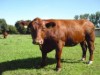 Bild 16