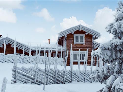 Holiday Home/Apartment - 7 persons -  - Bøensgutu - 2933 - Reinli