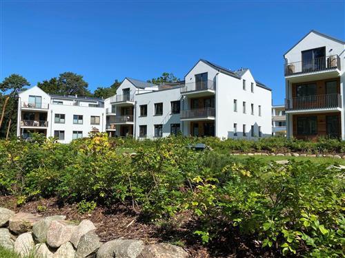 Ferieleilighet - 4 personer -  - Fritz-Worm-Straße - 18568 - Baabe