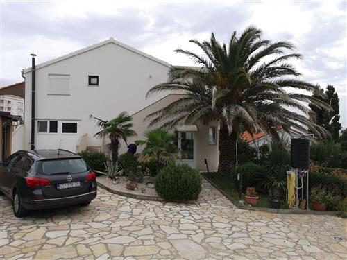 Ferieleilighet - 4 personer -  - Pag/Novalja - 53291