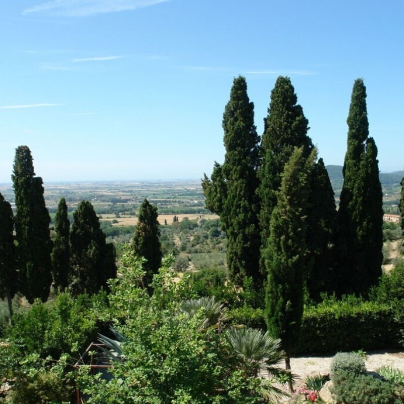 Villa - 6 personer -  - 57028 - Suvereto   (Li)