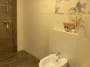 Bild 82