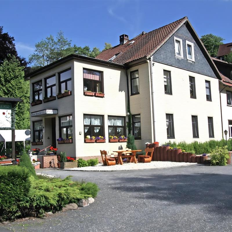 Ferielejlighed - 2 personer -  - 38709 - Wildemann