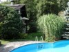 Billede 1