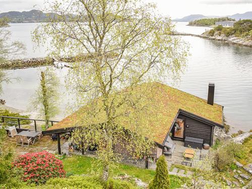 Sommerhus - 6 personer -  - Øyna - Skjold/Vindafjord - 5574 - Skjold