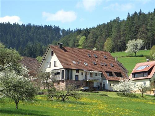 Holiday Home/Apartment - 4 persons -  - Freyenhöfe - 72270 - Baiersbronn