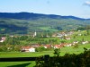 Bild 41